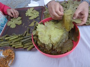 Making stuffed vine leaves